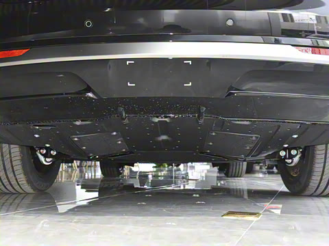 2025�� 825 Max��