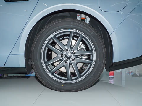 2025�� 555���˰�