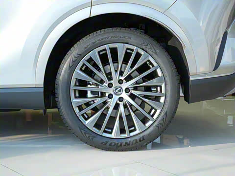 2025�� 350h ����������