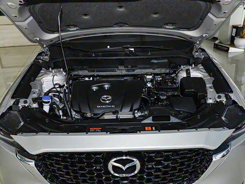 2024�� 2.0L �Զ�����������