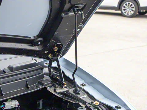 2024�� ���ư�