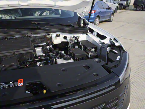 2025�� ������