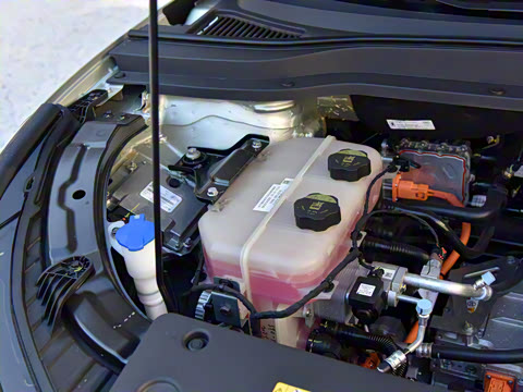 2025�� 565km ������