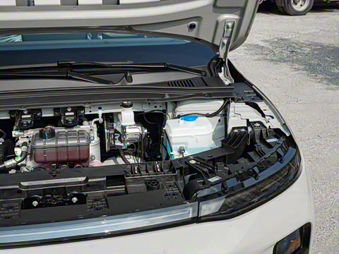 2025�� 550�����״��