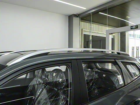 2023�� ��� 2.0L ������DLX