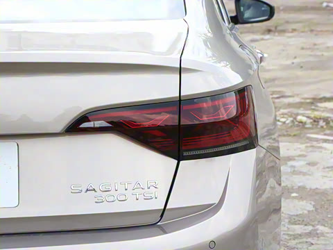 2025�� �Ŀ��� 300TSI DSG��Խ��