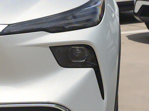 2025�� 445km ���ð�