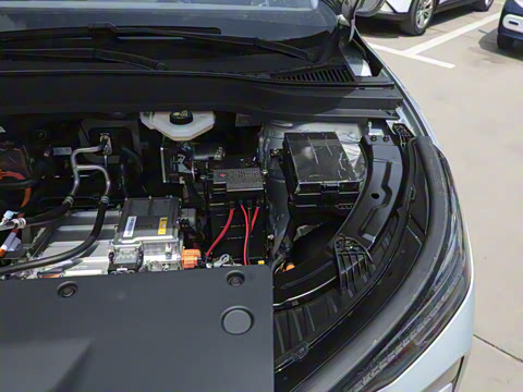 2025�� 445km ���ð�