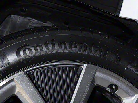 2025�� ����������Pro