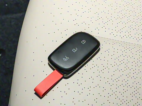 2025�� 530km ����Pro