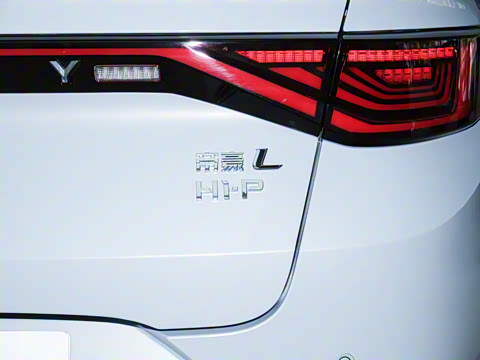 2024�� ���ڰ� 1.5TD-DHT Pro 100KM ׿Խ��