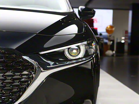 2023�� 2.0L �Զ������