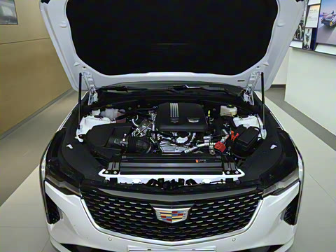 2023�� 28T ������