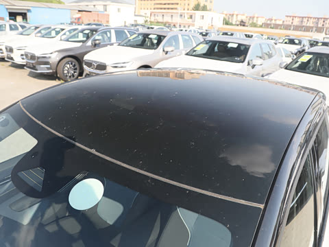 2025�� ������������ Plus