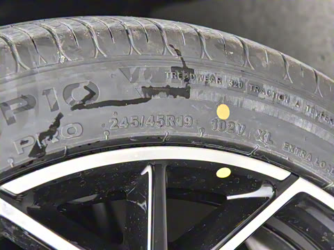 2025��  ���� ����� 625 �콢��