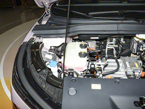 2025�� 565km ������