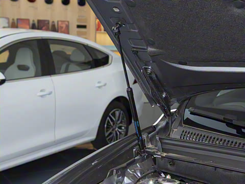 2024�� ��ҫ�� DM-i 71KM�캽��