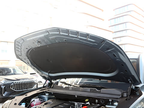 2025�� 1.5T DCT ������