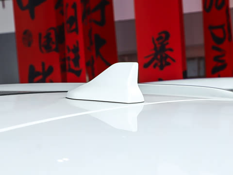 2025�� DM-i 75KM ������