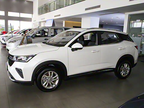 2022�� 1.5L �ֶ�������