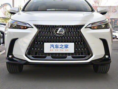 2025�� 260 ǰ�� �ر��