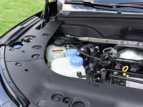 2026�� �������̼�����