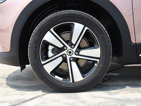 2026�� �鶯������