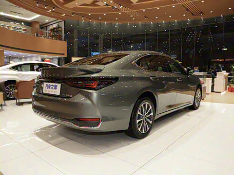 2025�� 300h ������