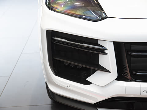 2025�� Cayenne 3.0T ���ΰ�