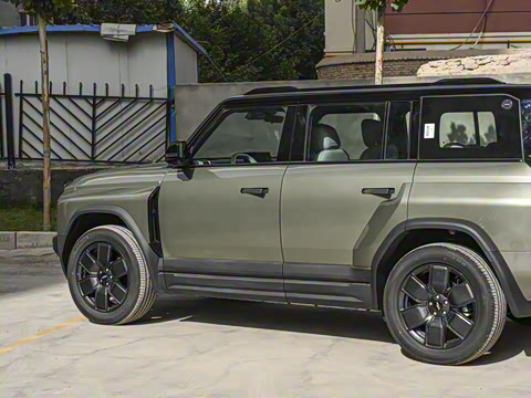 2025�� 501���������