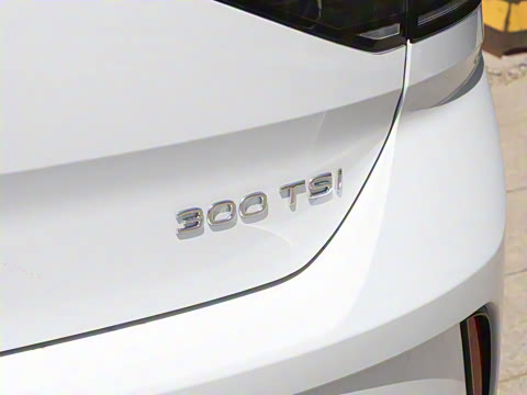 2025�� �Ŀ� 300TSI DSG���������