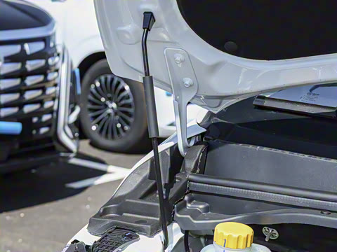 2025�� 2.0L CNG������ 6��