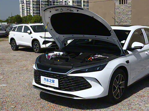 2025�� DM-i �Ǽݰ� 120KM�캽��