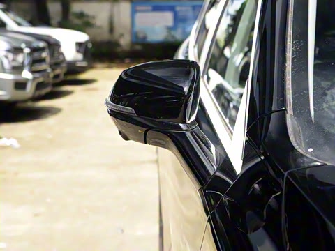 2024�� 2.0T ����Max