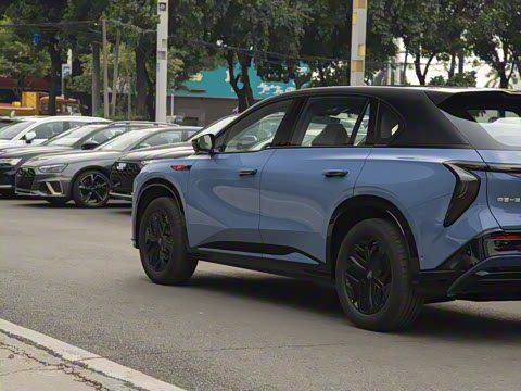 2025�� 730 Max������