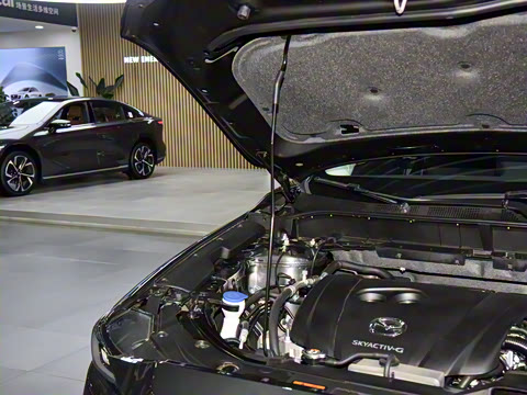 2025�� 2.0L �Զ�����������