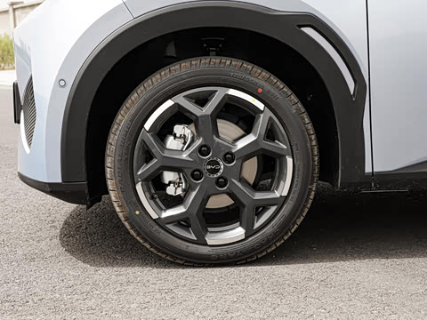 2025�� �Ǽݰ� 305km ���ɰ�