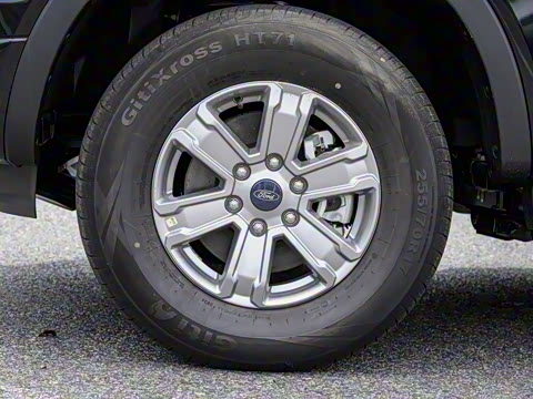 2023�� ɽ�������ֶ��� ����