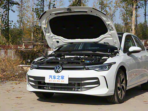 2025�� 300TSI Pro