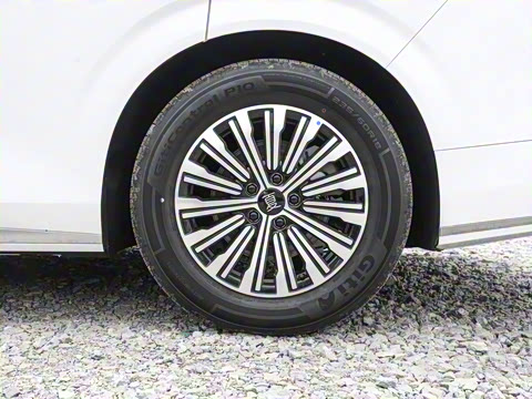 2025�� DM-i 1.5T 100km �캽��