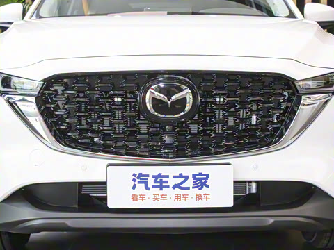 2024�� 2.0L �Զ���������Pro