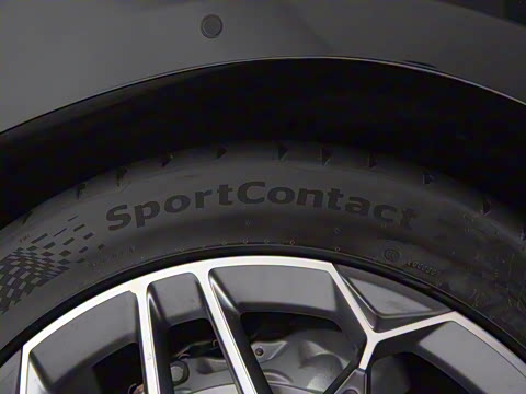 2025�� EV ����������