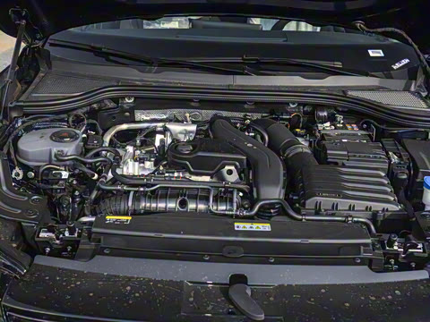 2024��  300TSI DSG���������۰�