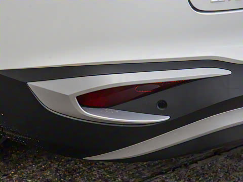 2024�� ������������