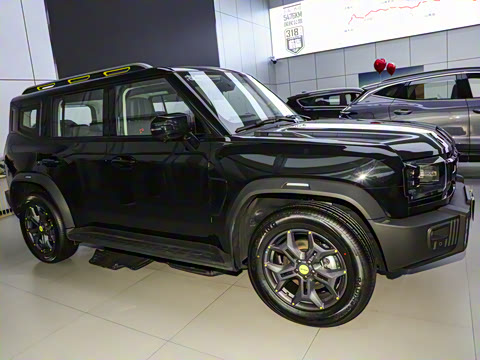 2024�� 2.0T ������ԽPRO���ְ�