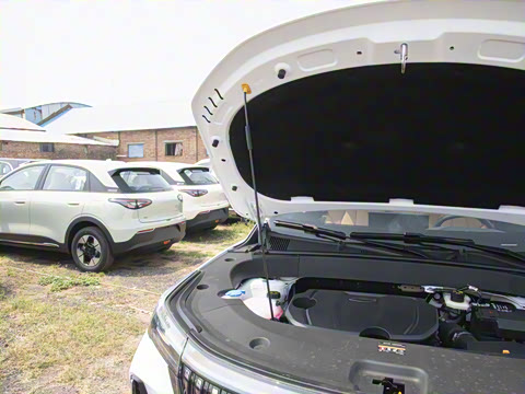 2025�� ���Ĵ� 1.5TD DCT ɽ��