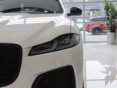 2025�� P400 SPORT