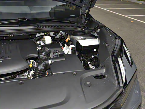 2023�� EM-P 126������Halo