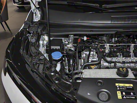 2024�� ��ҫϵ�� 2.0L ���ڰ�