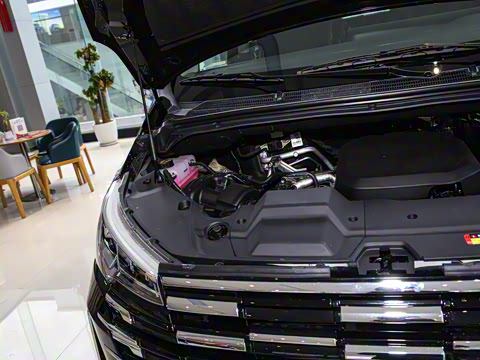 2025�� MAX 2.0T �Զ������� ���� 7��